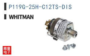 P119G-25H-C12TS-DIS ͼƬ